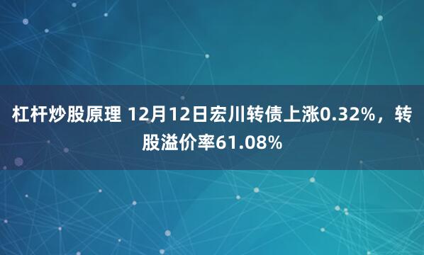 杠杆炒股原理 12月12日宏川转债上涨0.32%，转股溢价率61.08%