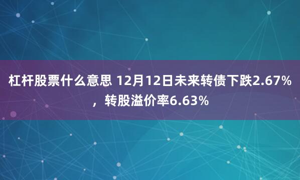 杠杆股票什么意思 12月12日未来转债下跌2.67%，转股溢价率6.63%