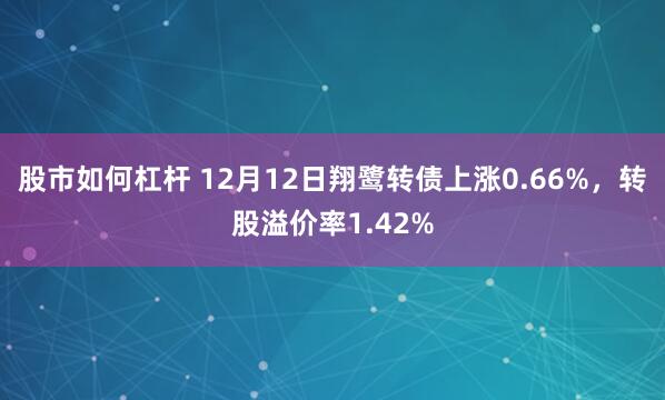 股市如何杠杆 12月12日翔鹭转债上涨0.66%，转股溢价率1.42%