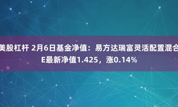 美股杠杆 2月6日基金净值：易方达瑞富灵活配置混合E最新净值1.425，涨0.14%