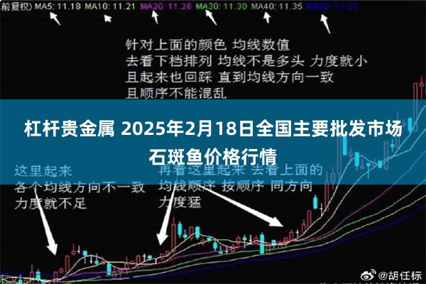 杠杆贵金属 2025年2月18日全国主要批发市场石斑鱼价格行情