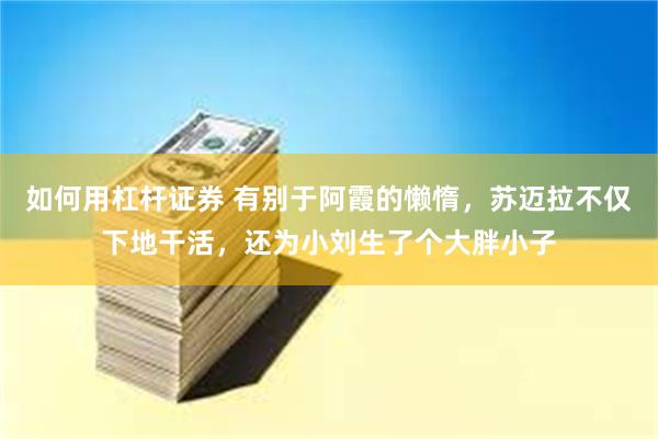 如何用杠杆证券 有别于阿霞的懒惰，苏迈拉不仅下地干活，还为小刘生了个大胖小子