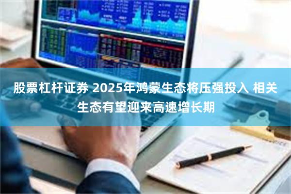 股票杠杆证券 2025年鸿蒙生态将压强投入 相关生态有望迎来高速增长期